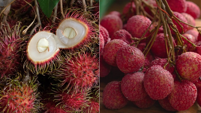 Bunches of rambutan and lychee