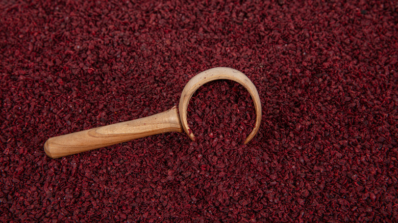 Closeup of wood measuring spoon in loose red sumac spice.