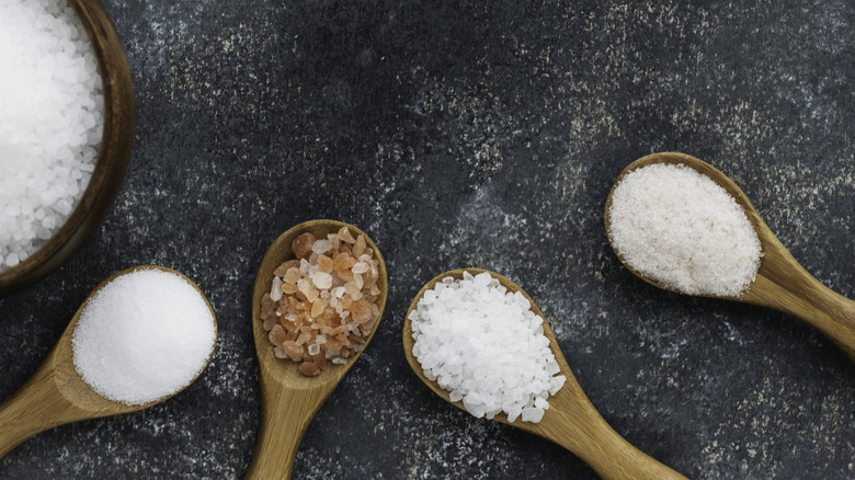 Four kinds of salt in wood spoons