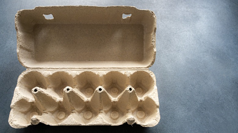 Empty egg carton