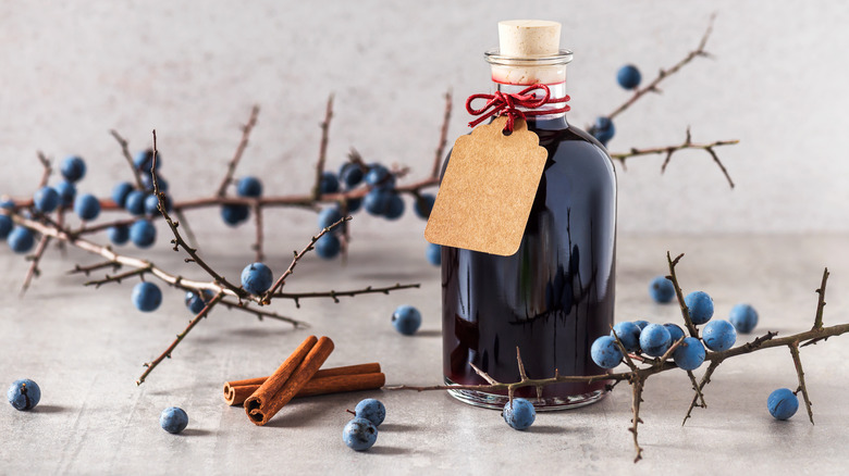 bottle and glass of deep red sloe gin surrounded by blackthorn branches and sloe berries