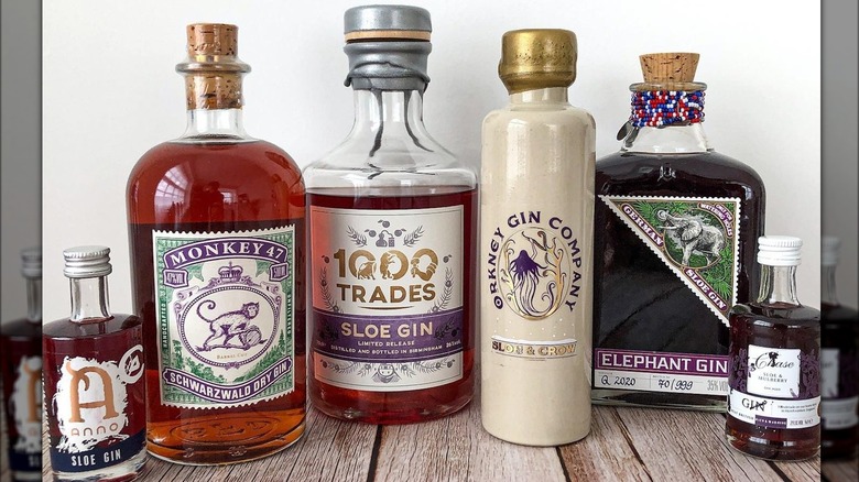 various bottles of sloe gin arranged in a line