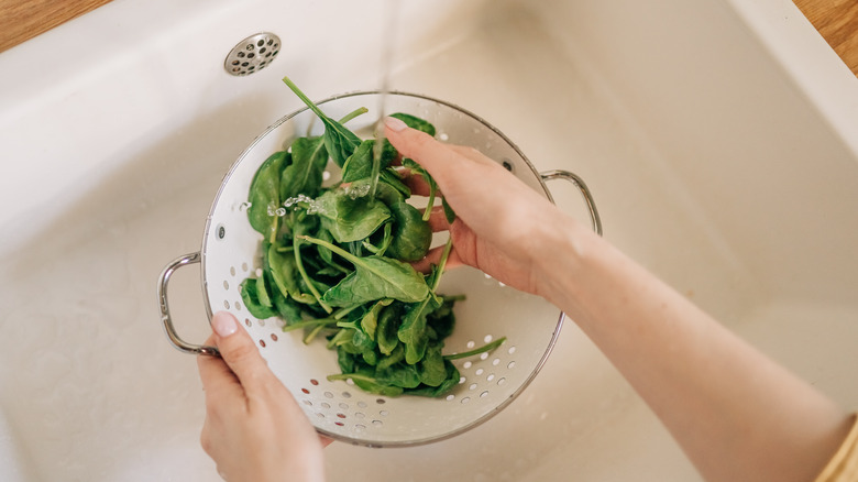 Person rinsing spinach in a colander