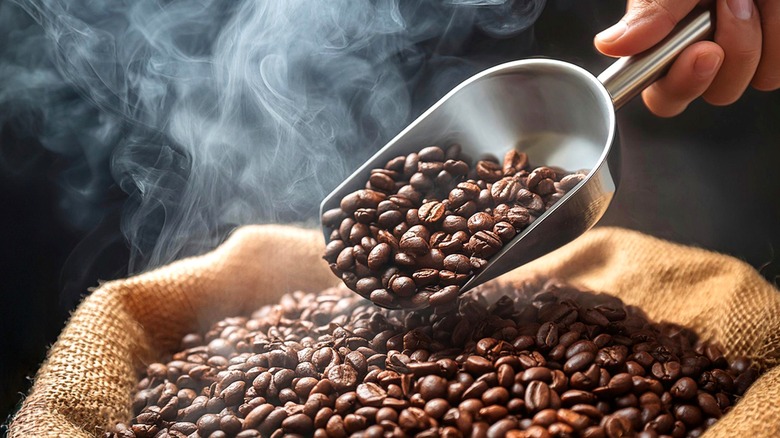 Hand holding scoop with coffee beans