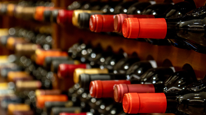 Wine bottles lined up in wine cellar