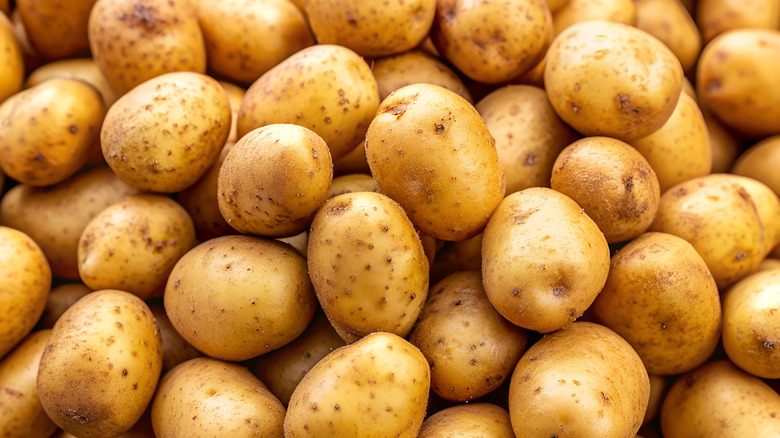 Up close shot of yukon gold potatoes.