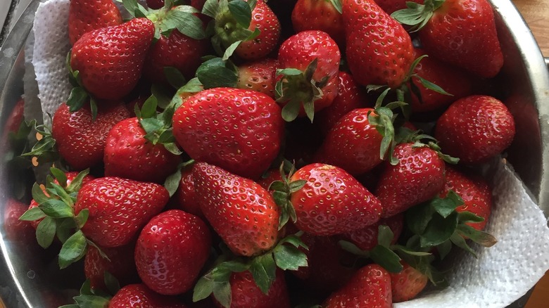 Strawberries kept in paper towel-lined bowl
