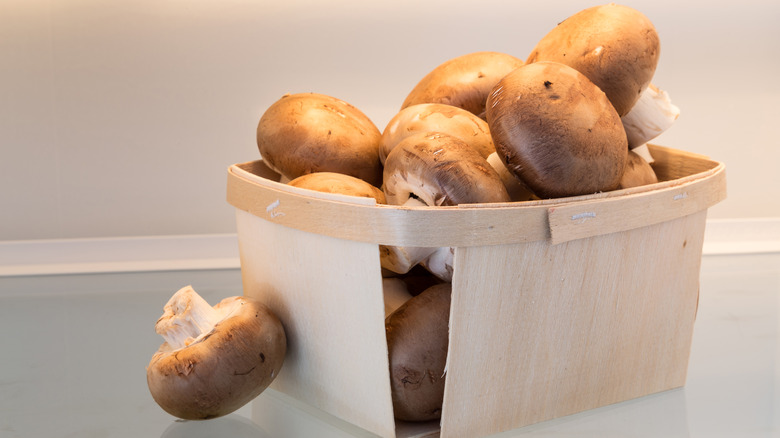 Basket of whole fresh mushrooms on white refrigerator shelf.