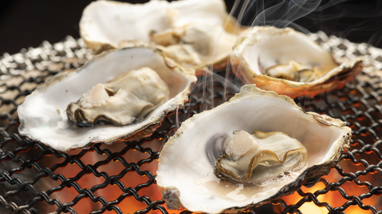 Oysters on an open grill