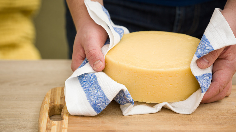 Person holding cheese in cloth