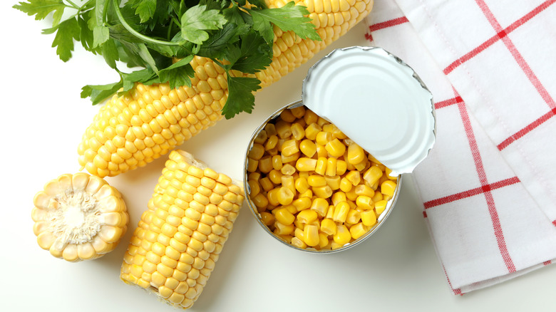 Canned and whole corn white background