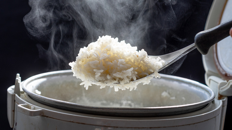 Spooning fluffy, steaming white rice out of a rice cooker