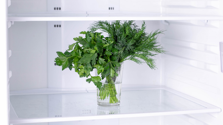 herbs in refrigerator