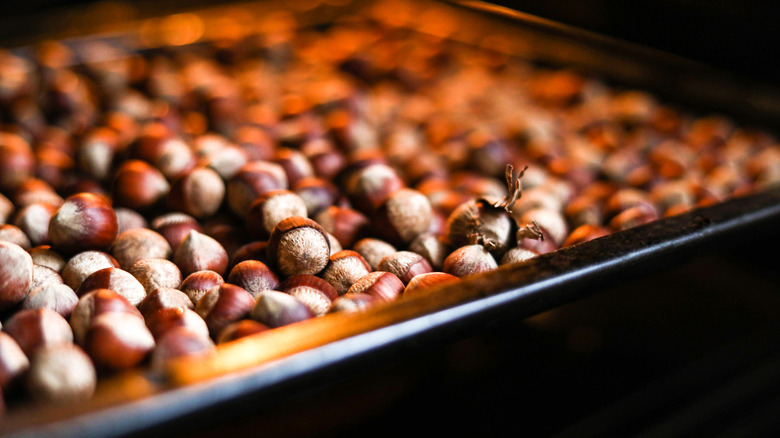Hazelnuts roasting on an oven tray