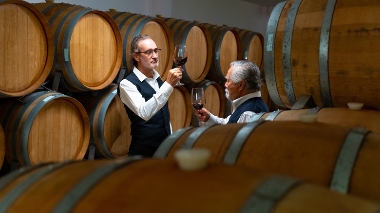 Sommeliers tasting wines in a cellar