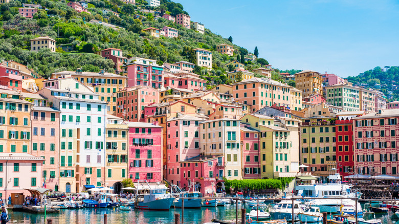 Colorful seaside and hillside buildings in Camogli, Italy