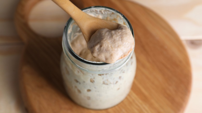 Wood spoon in sourdough starter