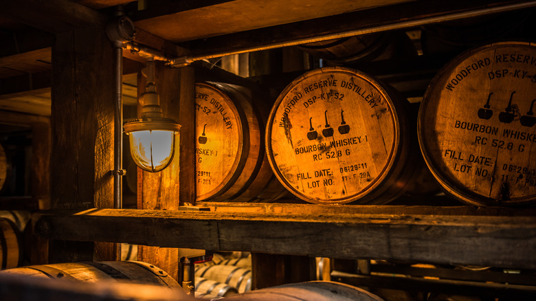 Bourbon barrels in a cellar