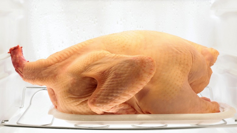 raw turkey in refrigerator