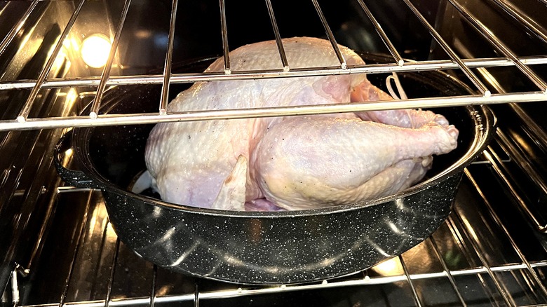 raw turkey in oven