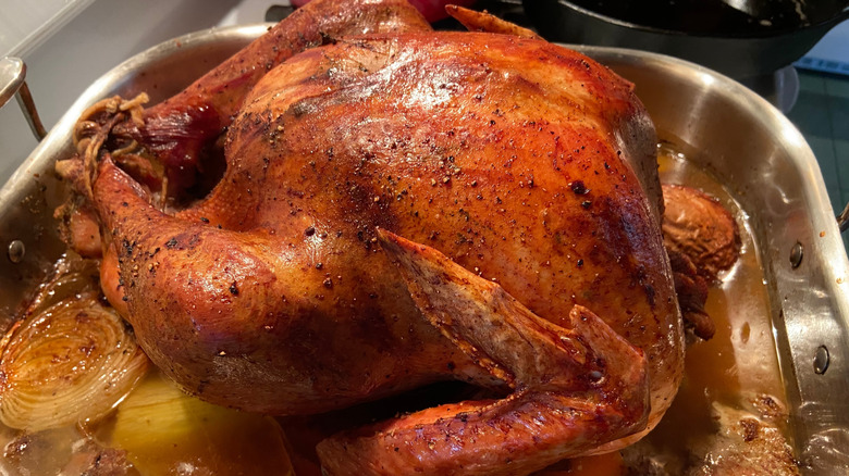 turkey in pan with drippings