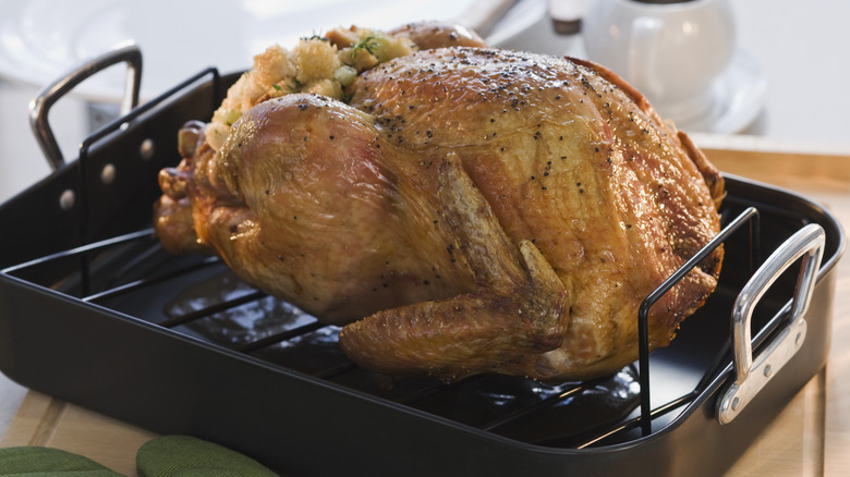 turkey in roasting pan with rack