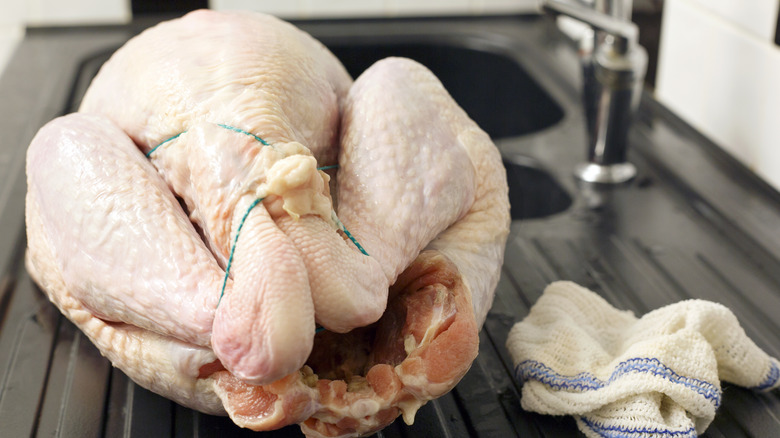 turkey in sink