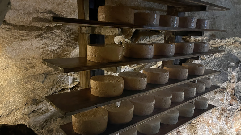 Cabrales wheels on shelves in a cave