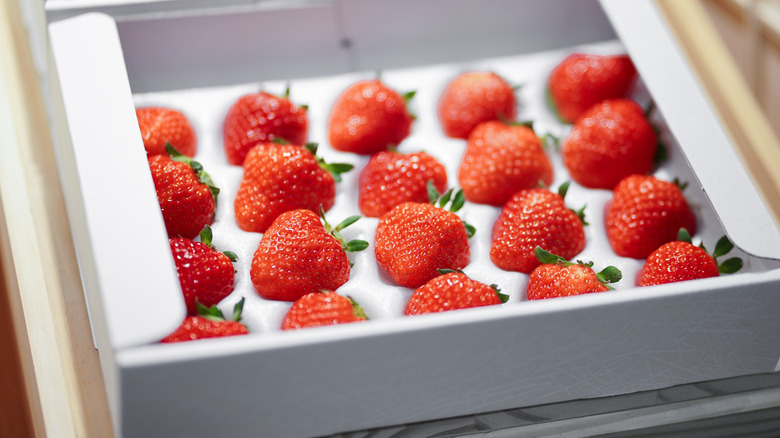 Box of Japanese strawberries