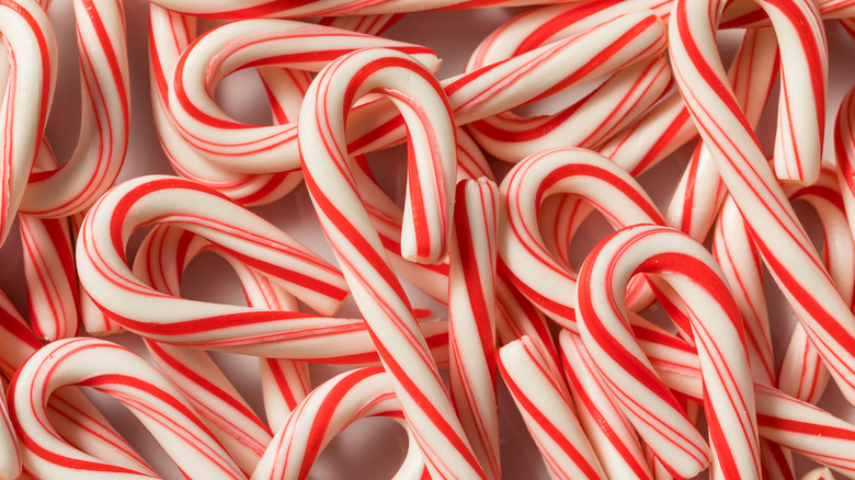 a sea of candy canes