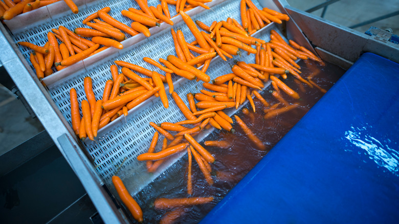 baby carrots in a bowl