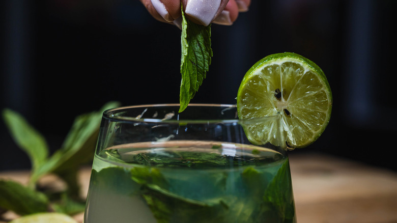adding sprig of mint to mojito