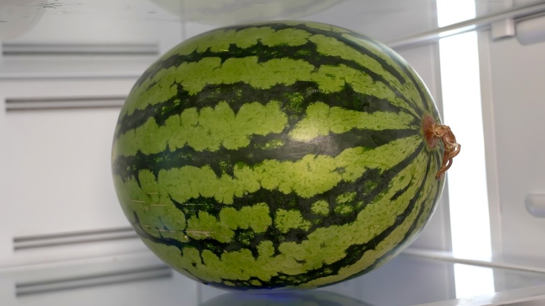Whole, striped green watermelon on shelf in the fridge.