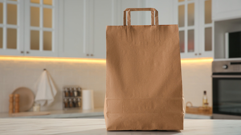 paper grocery bag sitting on kitchen counter