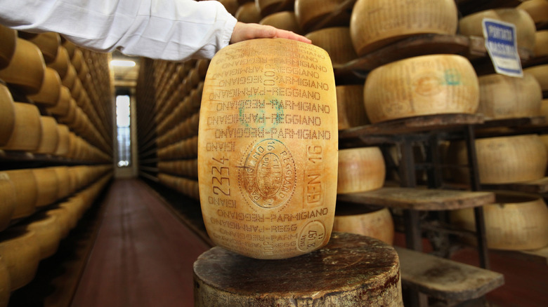 wheel of cheese marked with dots