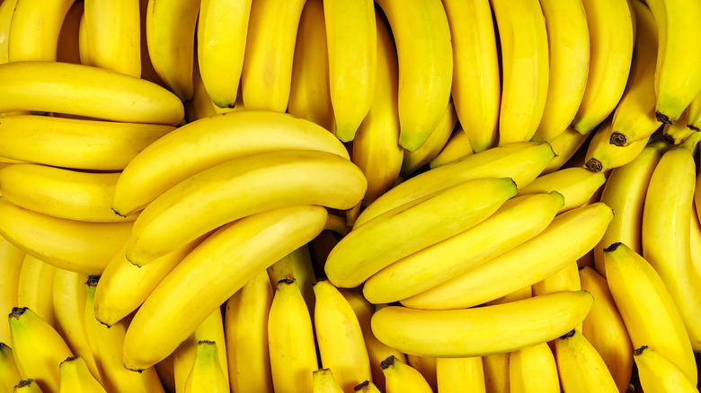 group of yellow bananas