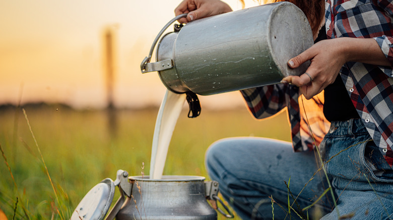 farmer with raw milk