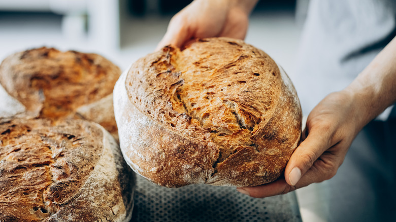 Sourdough loaf held in hands