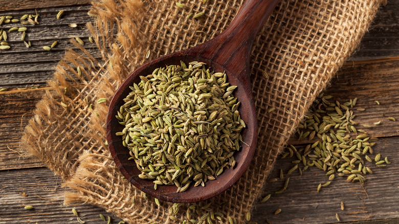 Fennel seeds in a wooden spoon