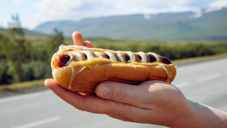 A hand holds a pylsur, or Icelandic hot dog