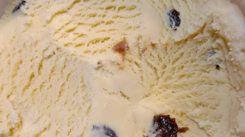 Close up of rum raisin ice cream.