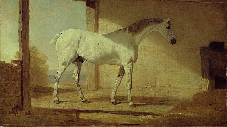 painting of horse with docked tail