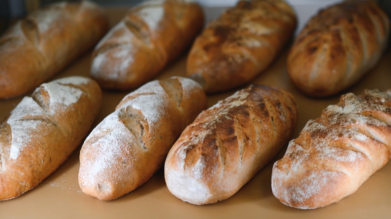 Eight golden, scored loaves of rustic bread.