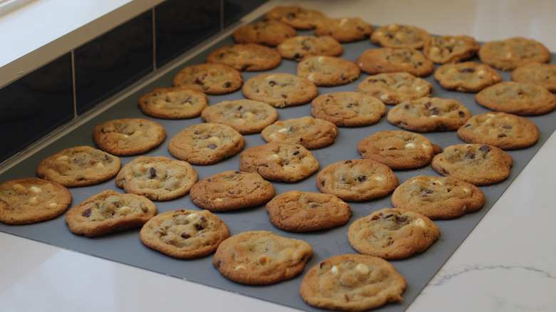 Chocolate chip cookies resting on a baking sheet