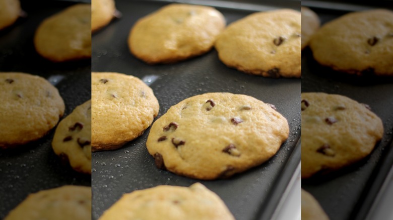 Chocolate chip cookies on a dark pan