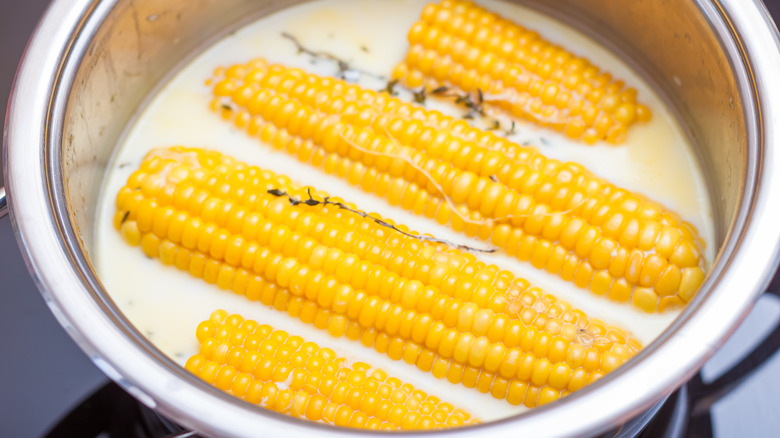 Ears of corn cooked in milk, water, and butter