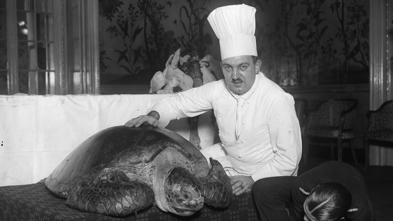 Chef with large turtle