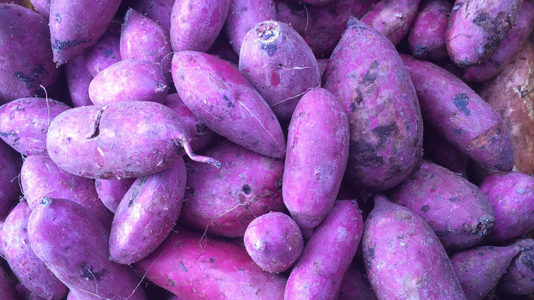 A large amount of ube yams in a pile.