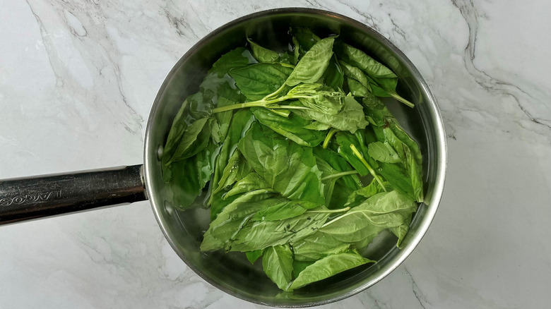 Basil leaves in a pan of water