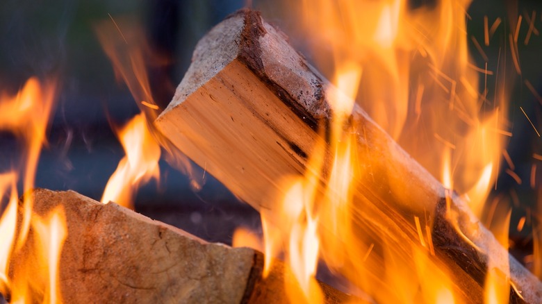 Wood logs burning in a fire.